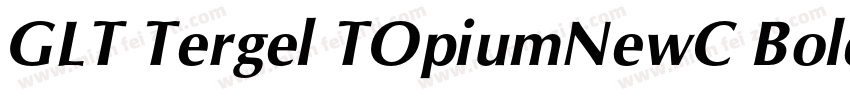 GLT Tergel TOpiumNewC Bold Italicig字体转换